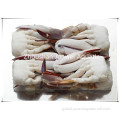 Frozen Red Spot Swimming Crab fresh frozen crab for sale Factory